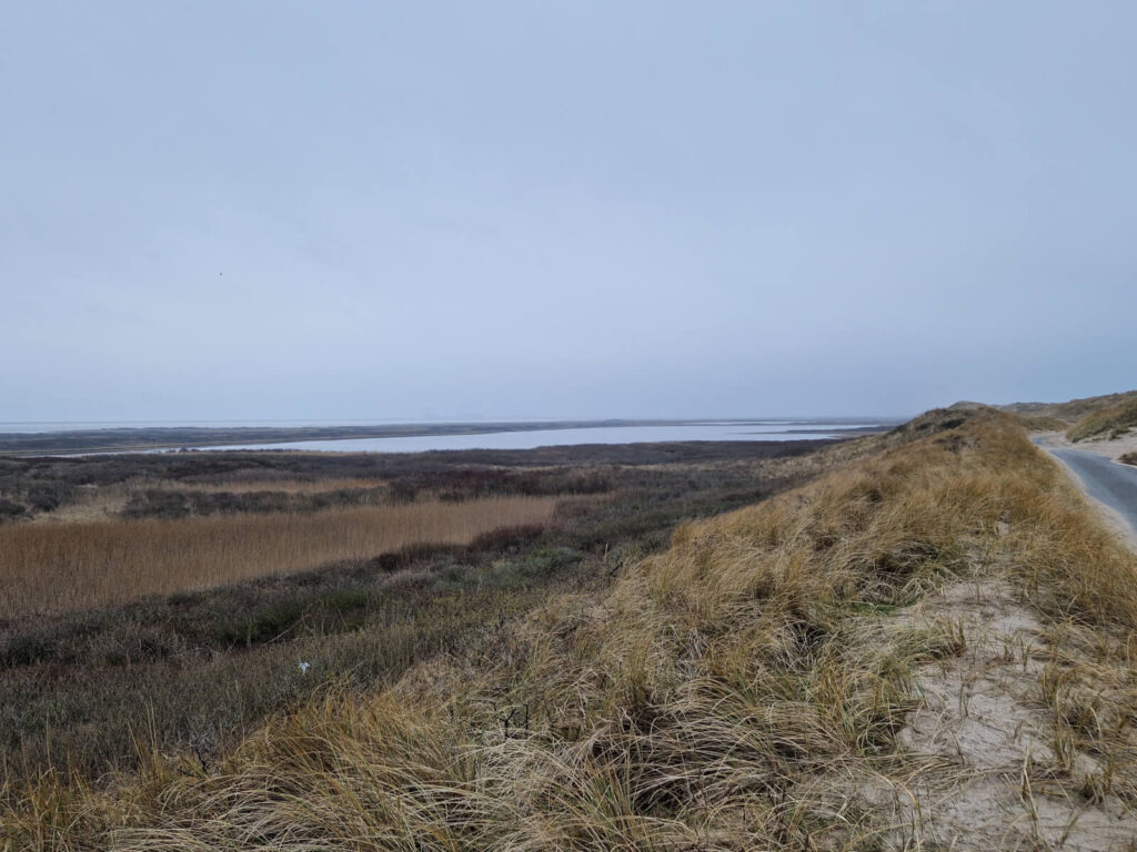 Lagunesøerne ved Thyborøn