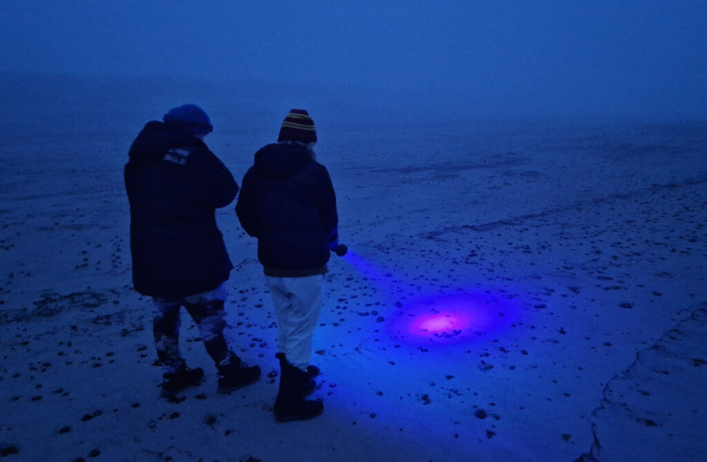 Tag på ravjagt på stranden med ravlygte
