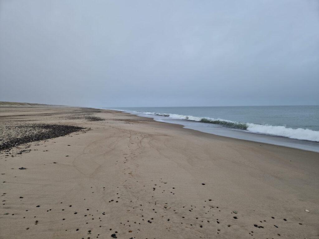 Vesterhavet ved Vrist strand
